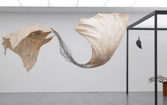 Ausstellungsansicht von Erica Pedrettis Doppelflügel im Kunstmuseum Chur