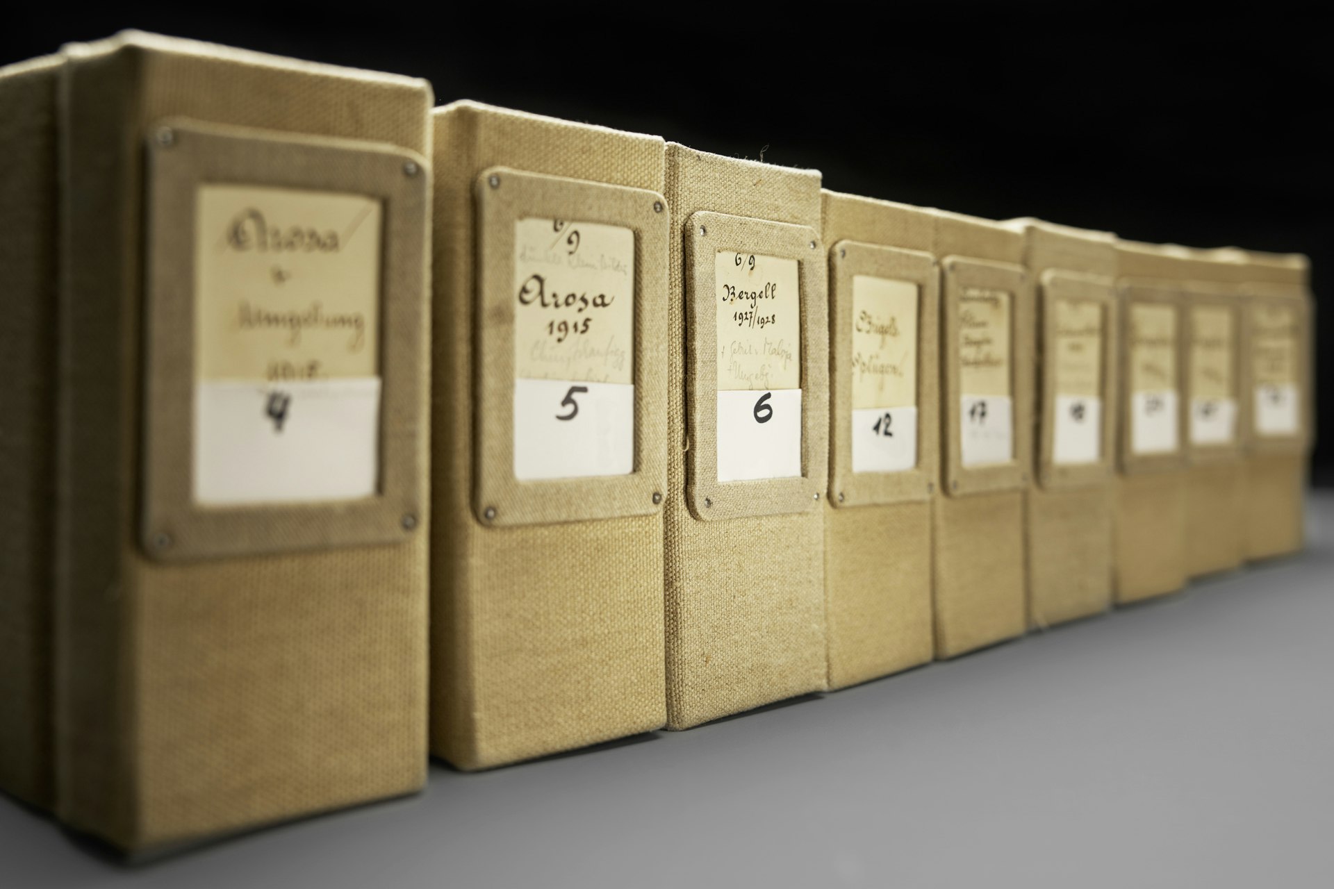 Fotografie, auf der die Rücken einiger der in Leinen gebundenen Fotoalben von Rudolf Zinggeler zu sehen sind, so wie wenn sie im Gestell stünden.